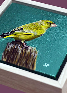 An original painting of a greenfinch bird with a turqoise metal leaf background