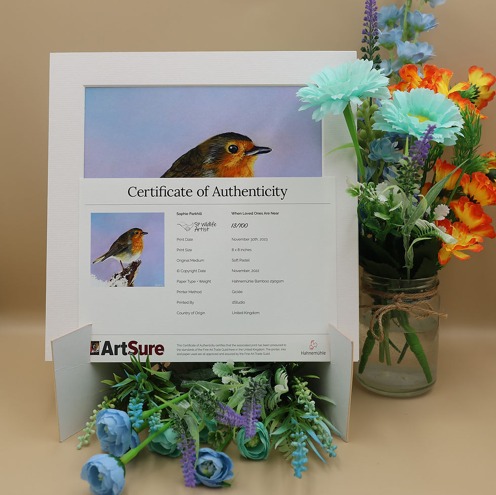 Thumbnail: An 8 x 8 inch giclee art print of a Robin called When Loved Ones Are Near, painted by SP Wildlife Art