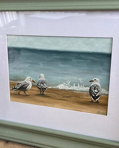 TRIO OF GULLS.jpg