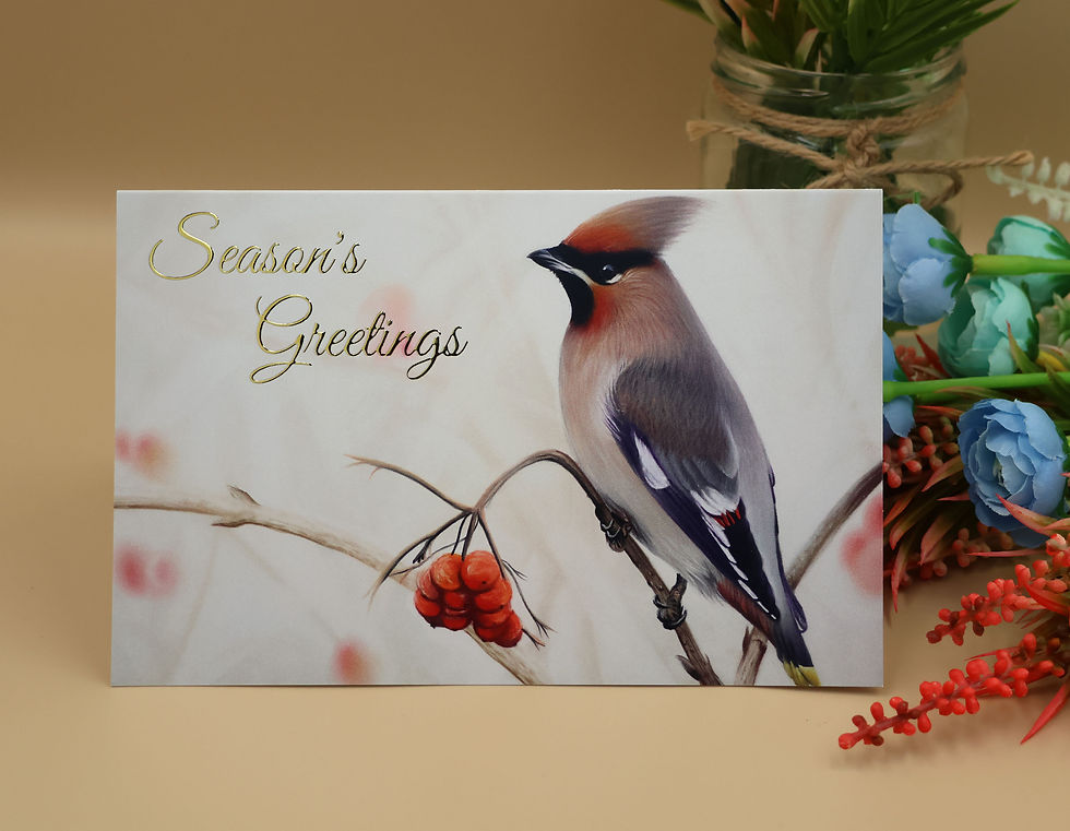 Thumbnail: A christmas card with a bohemian waxwing in a frosty scene with hawthorn berries, painted by Sophie Parkhill