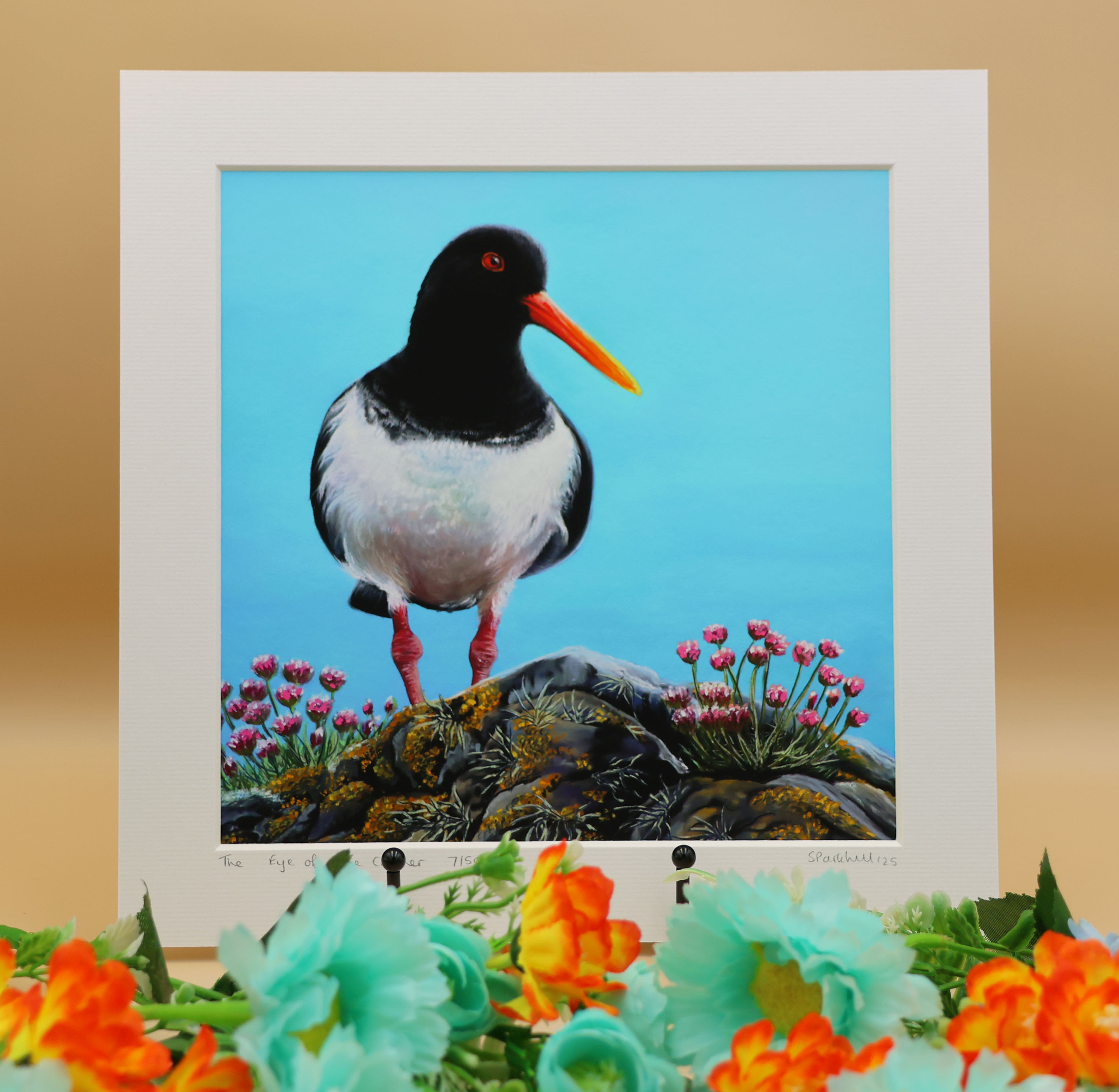 A limited edition art print of an oystercatcher with sea thrift by Sophie Parkhill of SP Wildlife Art