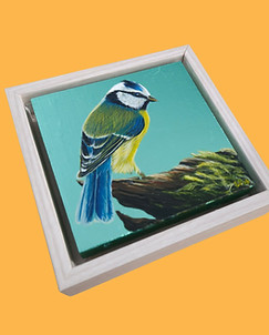 Metallic Blue Tit II.jpg