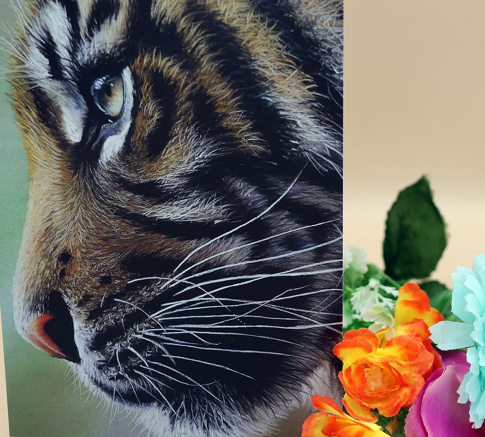A 7 x 5 inch blank greetings card featuring a close up of a young sumatran tiger, painted by SP Wildlife Art
