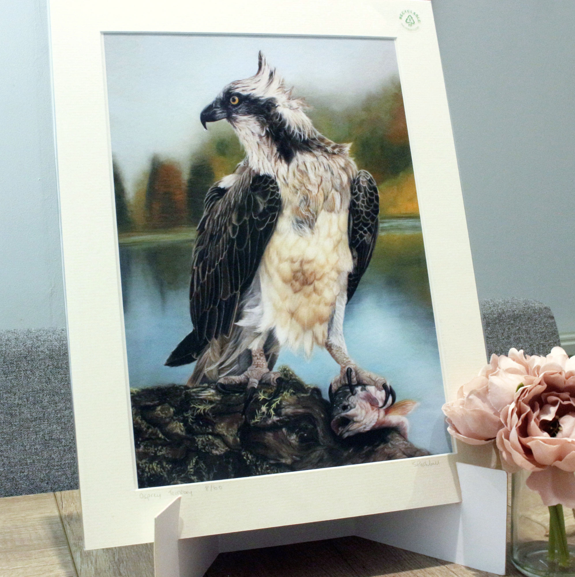 A limited edition giclee print of an Osprey with fresh catch, painted by Sophie Parkhill of SP Wildlife Art