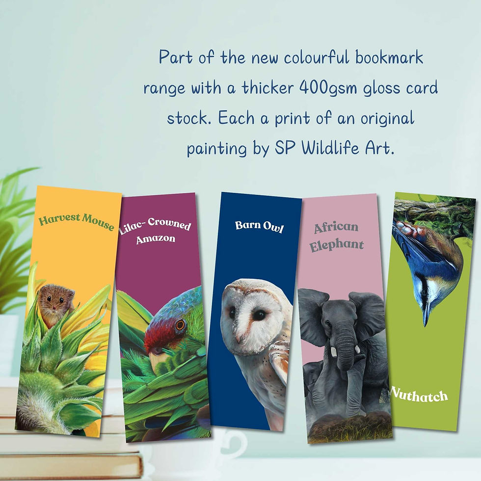 Thumbnail: A barn owl bookmark with a print of an award winning painting by Sophie Parkhill of SP Wildlife Art
