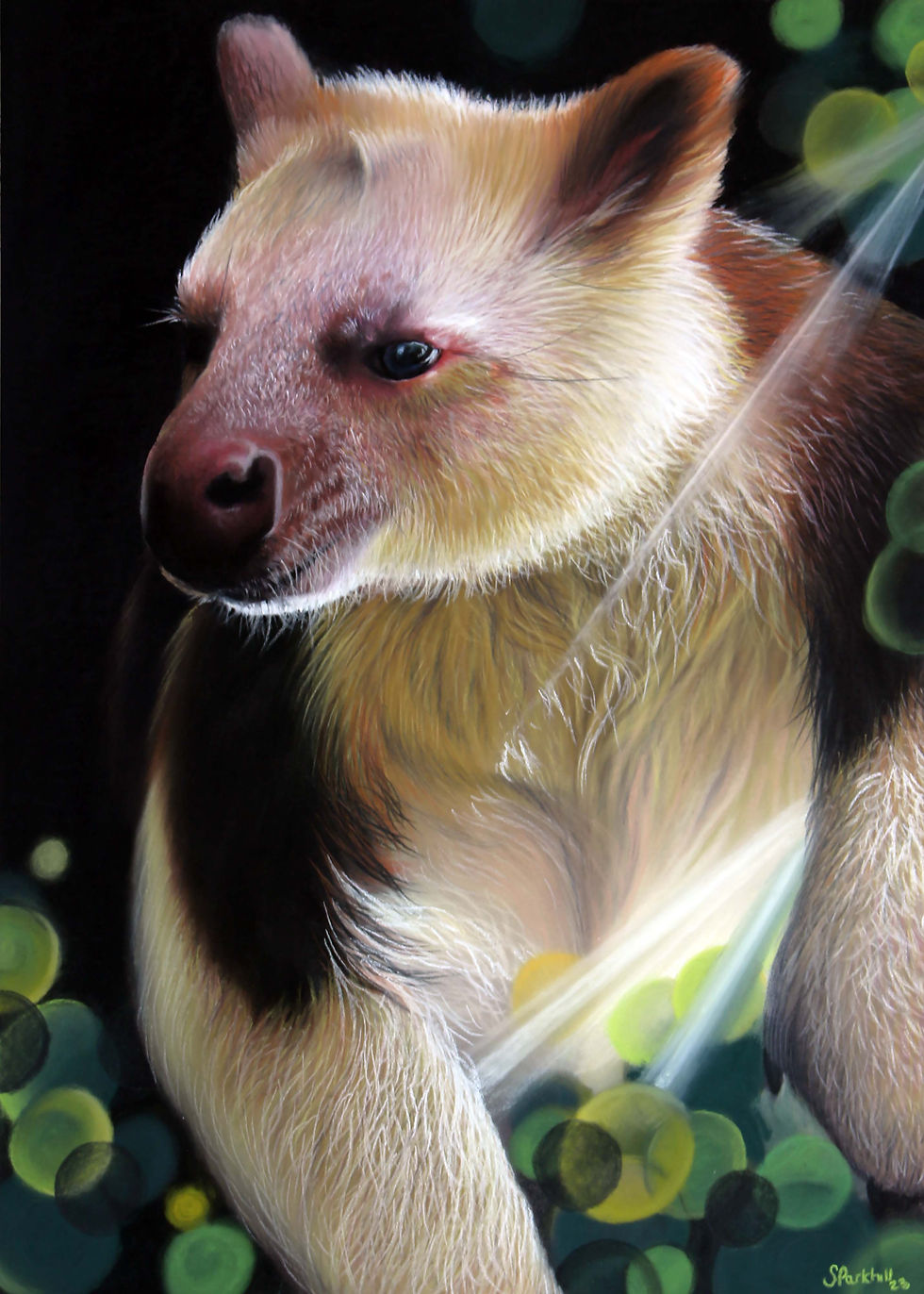 Original painting of a goodfellow's tree kangaroo located at chester zoo by Sophie Parkhill