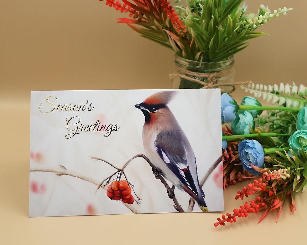 Thumbnail: A christmas card with a bohemian waxwing in a frosty scene with hawthorn berries, painted by Sophie Parkhill