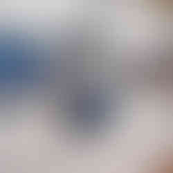 Affordable art on display at the Association of Animal Artists Autumn Exhibition 2025 at The Station