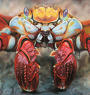 SophieParkhill_Crabtivated_30x22cm.jpg