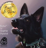 2023 Competition Winner_Best In Show_Sophie Parkhill_Echo.jpg