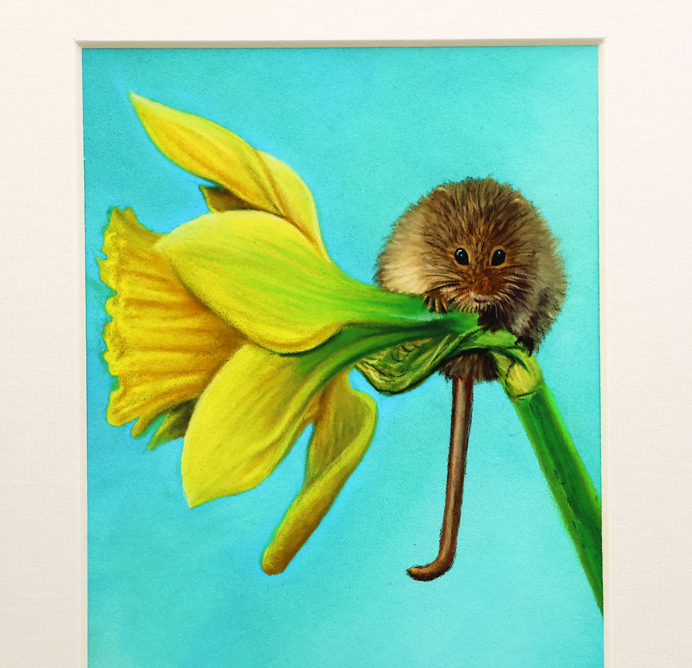 Thumbnail: A triple aperture giclee print of three mice, one on a rose, a daffodil and a tulip.  By Sophie Parkhill of SP Wildlife Art