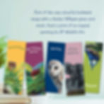 Thumbnail: An african elephant bookmark by artist Sophie Parkhill of SP Wildlife Art with a pink background