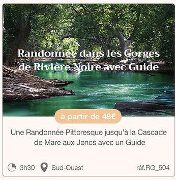 MEP Vignettes activités Nature9.jpg