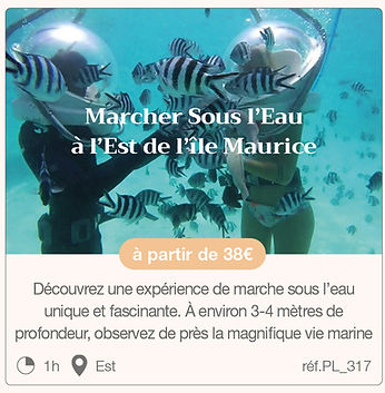 MEP Vignettes activités Nautiques57.jpg