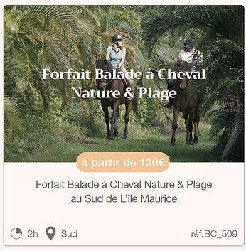 MEP Vignettes activités Nature14.jpg