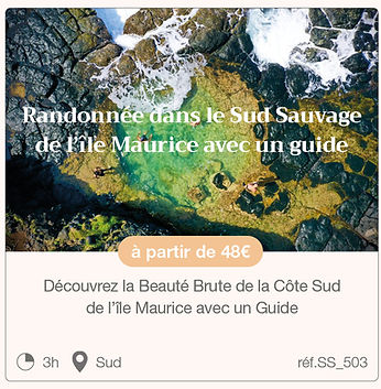 MEP Vignettes activités Nature3.jpg