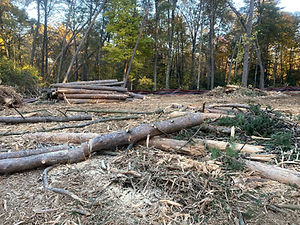 IMG_1870.JPEG