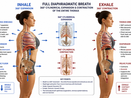 Proper full diaphragmatic breath