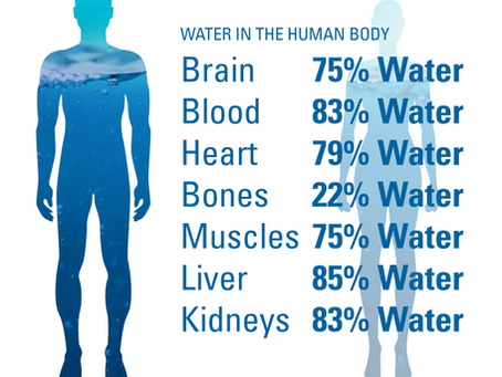 The Impact Of Fluid Dynamics