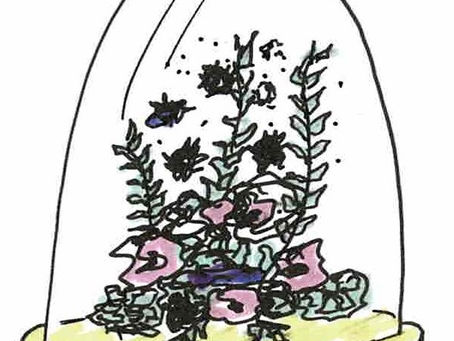 A vos agendas pour nos prochains ateliers floraux !