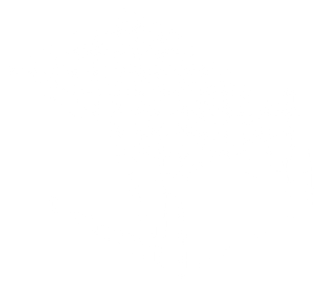 VertiPark LP Double Stackers