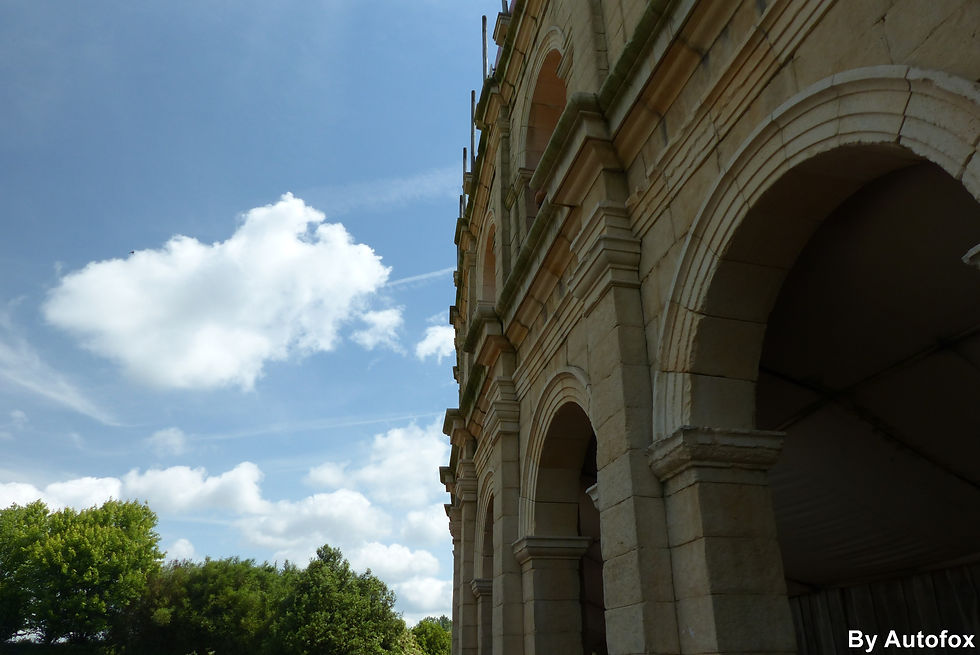 P1040051_GF