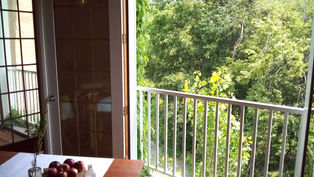 "Youngsters" Featured