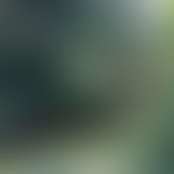 "Wrong Things" Appears