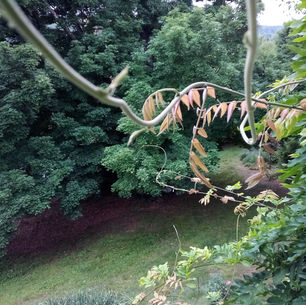 "Wrong Things" Appears