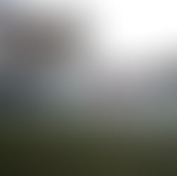 Poems Displayed, Read and Published