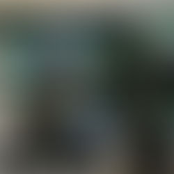 Ivy Bookshop Hosted Patti Ross, Judith Krummeck and Hiram Larew