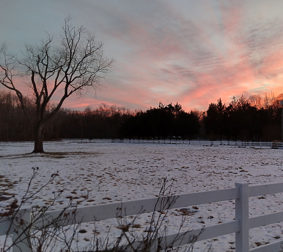 December 2025 Postings