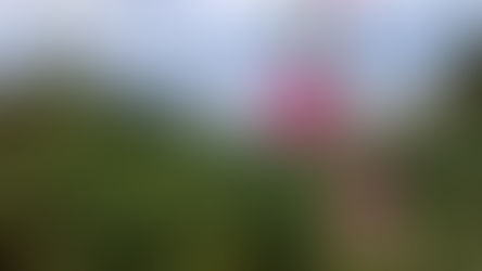 "Peg Leg" in ArlLiJo