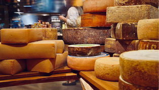 Judging Poetry Catalog's 2024 Contest