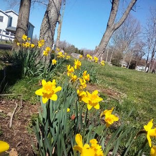 Poems Published...and a Reading