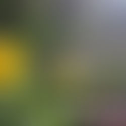 Epic City Interview and a Translation