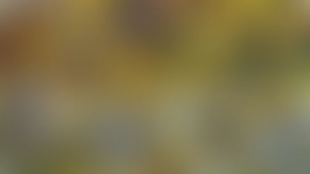 "Just Imagine" Set to Music