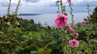 Four Poems Appear in Issue 4 of D.O.R.