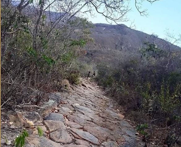 Imagem 2 - MARINEIDE LISBOA DA SILVA LISBOA DA SILVA.png