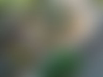 Budowa wybiegu inspirowana naturalnym habitatem Toskanii (Włochy)