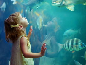 Girl at Aquarium