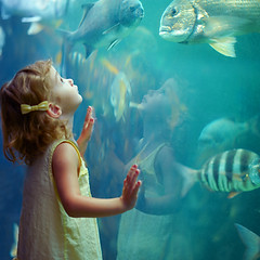 Girl at Aquarium