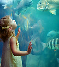 Girl at Aquarium