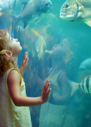 Girl at Aquarium