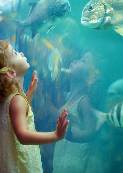 Mädchen am Aquarium
