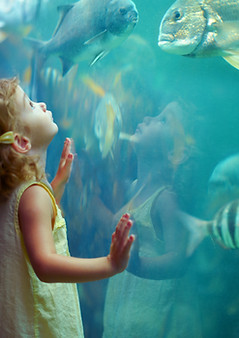 Girl at Aquarium