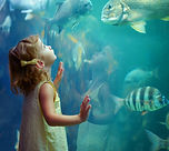 Girl Watching Aquarium