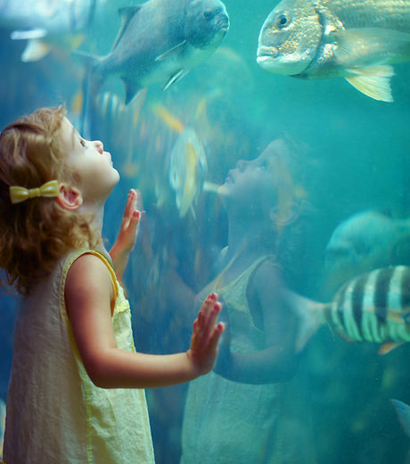 Girl at Aquarium