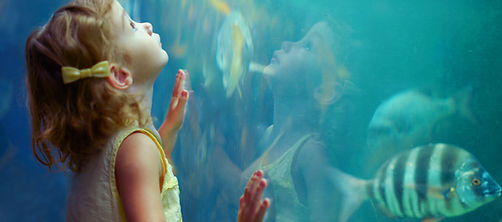 Girl at Aquarium