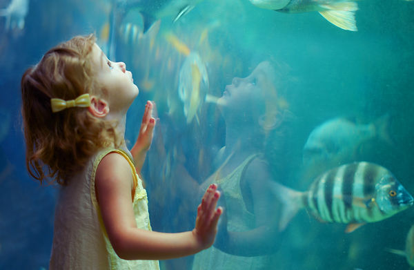 Mädchen am Aquarium